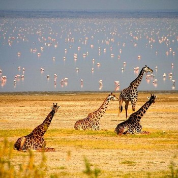 Photographic Safaris & Excursions Image Gallery
