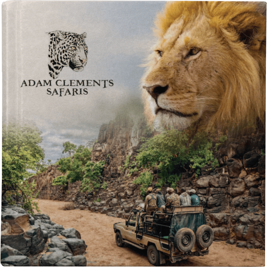 cover brochure safari trackers hunting