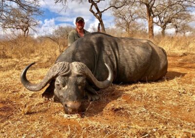 tanzania buffalo 024