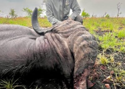 tanzania buffalo 033