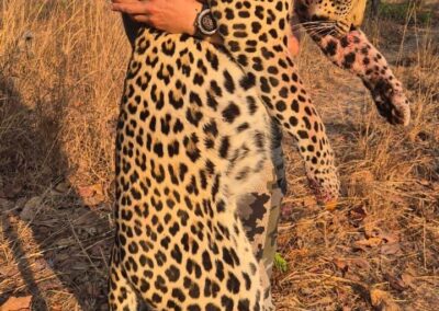 tanzania leopard 043