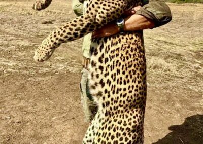 tanzania leopard 048